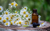 Ashwagandha Extract — 50 mg