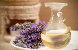 Lavender Extract