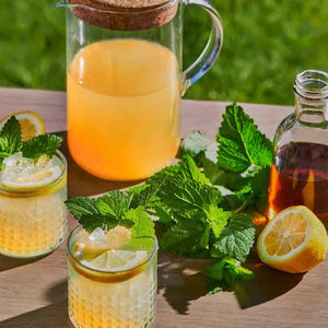 Lemon Balm Extract
