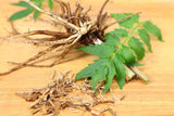 Lemon Balm Extract — 50 mg